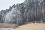 Mróz na gałęziach i zamarznięta woda - zimowy krajobraz nad Jeziorem Kuźnickim