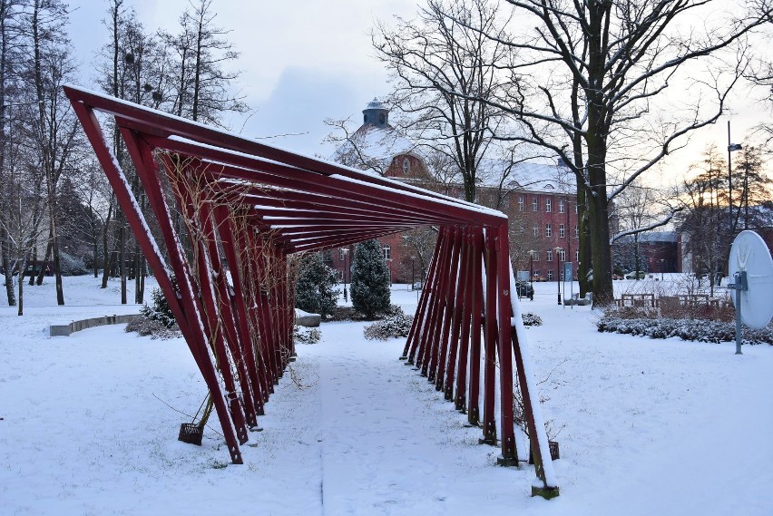 Zima w Parku nad Nacyną w Rybniku