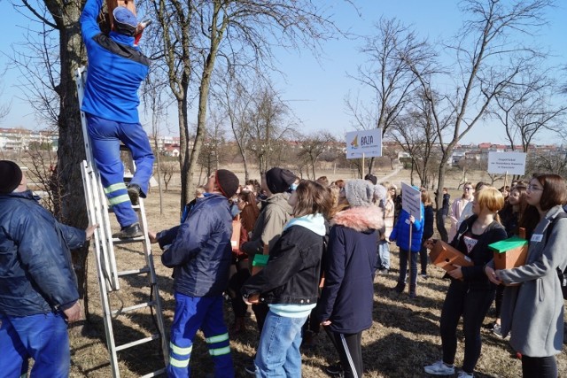 22 budki lęgowe zawisły w Parku Górników Siarkowych w Staszowie.