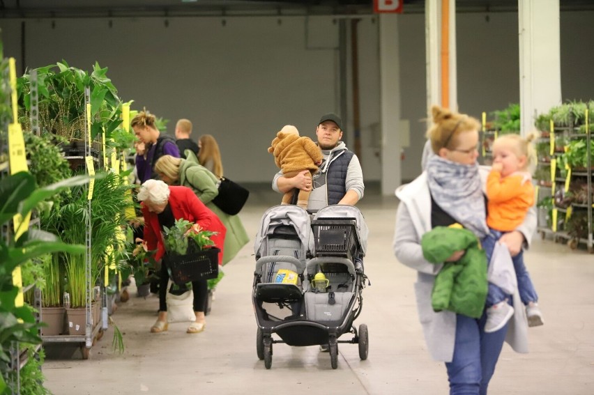 Festiwal Roślin w Targach Kielce. Zachwycające odmiany i mnóstwo ludzi. Zobacz zdjęcia