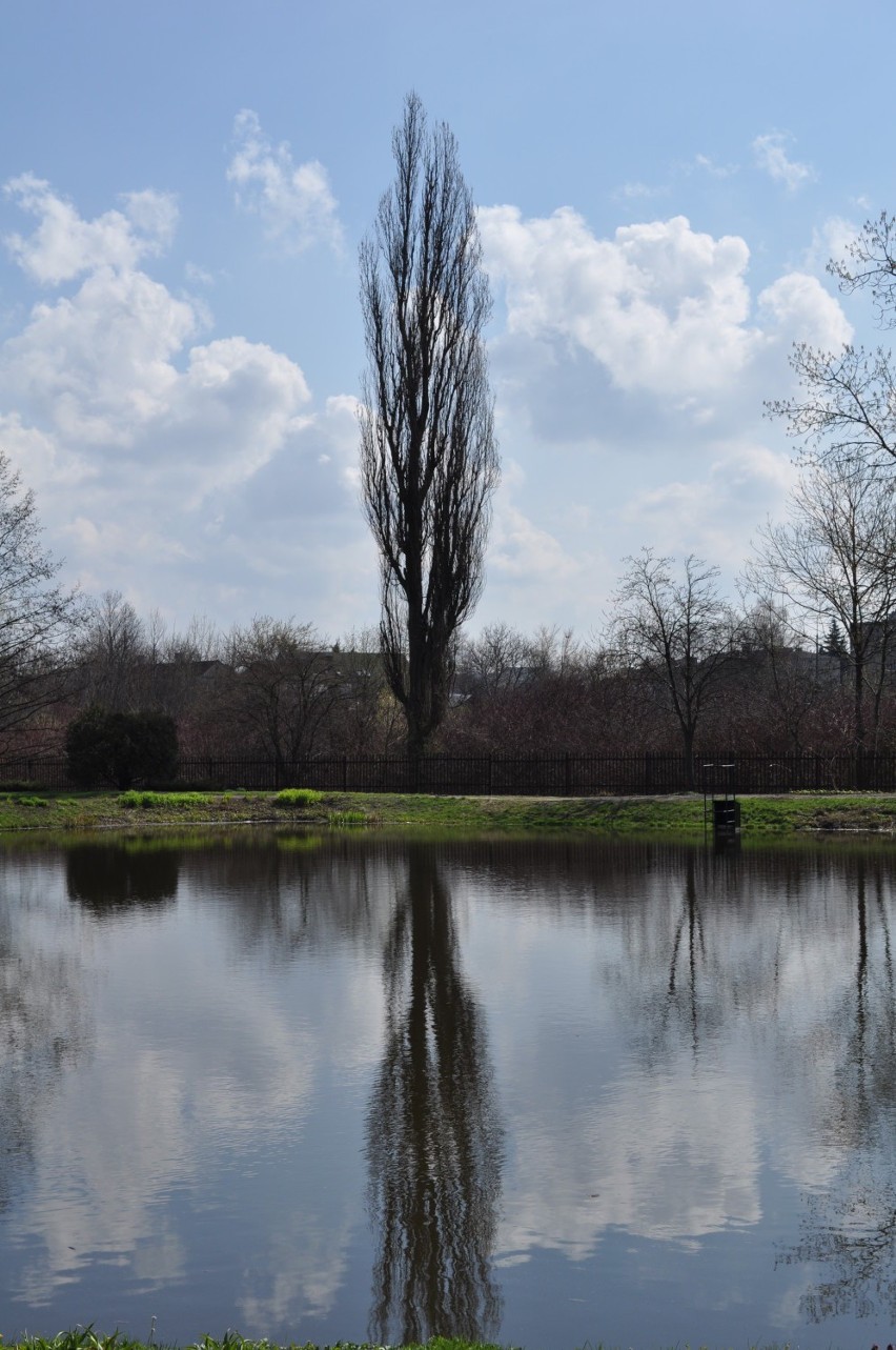 Ogród Botaniczny