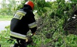 Konary niebezpiecznie zwisały nad lodowiskiem w Żorach - usunęli je strażacy