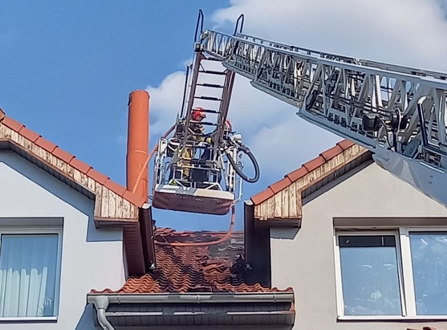 Strażacy otrzymali zgłoszenie o pożarze w piątek, 18 czerwca, ok. godz. 16.30. Paliło się mieszkanie na zielonogórskim osiedlu Malarzy.

- Ogień pojawił się na trzecim piętrze, w mieszkaniu na poddaszu – poinformował st. kpt. Arkadiusz Kaniak, oficer prasowy Komendy Miejskiej Państwowej Straży Pożarnej w Zielonej Górze. – Rozprzestrzeniał się pod poszyciem dachowym. 

W akcji gaśniczej wzięło udział 7 zastępów straży pożarnej. 

- Na szczęście nie było osób poszkodowanych, nie było także konieczności przeprowadzania ewakuacji – dodaje st. kpt. Kaniak.

Wideo: Pożar na ul. Kossaka

Źródło: Czytelnik