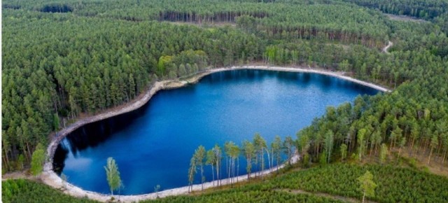 Płot wokół jeziora Wielkie Oczko stanął wiosną 2022 r. Teraz sprawą zajął się sąd, który rozstrzygnie, czy ogrodzenie stoi legalnie.