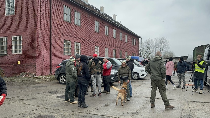 W Skierniewicach trwają szkolenia psów pracujących w służbach z całej Polski