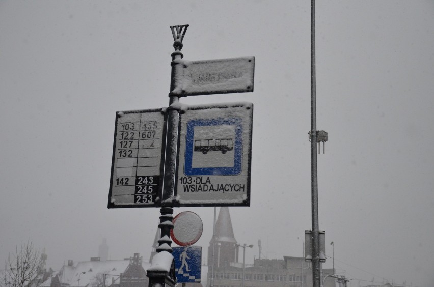 Zima we Wrocławiu