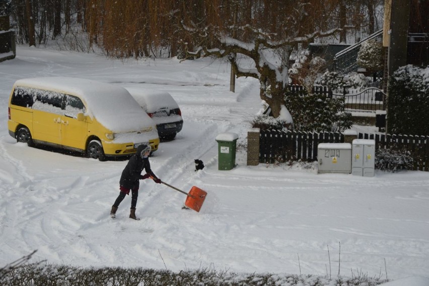 Zima w mieście. Goleniów wygląda dzisiaj przepięknie