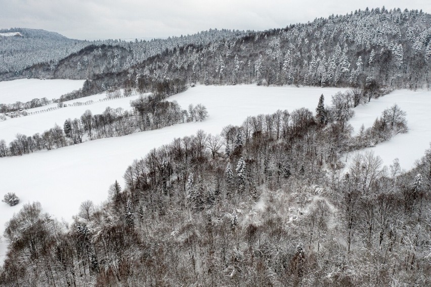Na zdjęciu z drona zimowy pejzaż w Lutowiskach w...