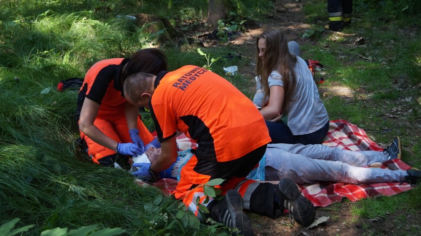 Pożar w Jastrzębiu: ogień pojawił się w lesie