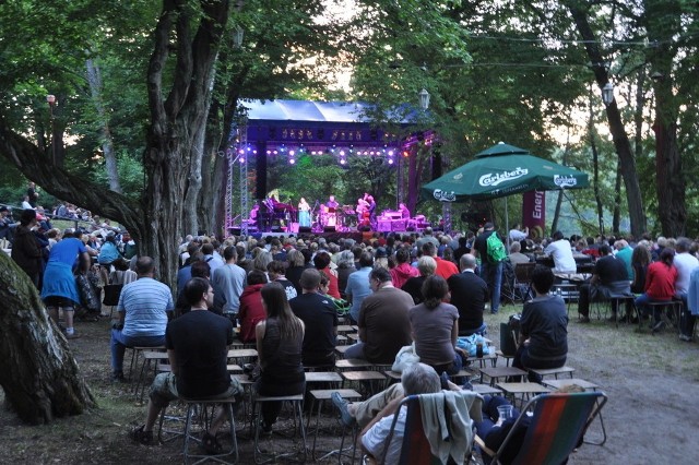 Zdjęcia z pierwszego dnia festiwalu Jazz w Lesie w Sulęczynie