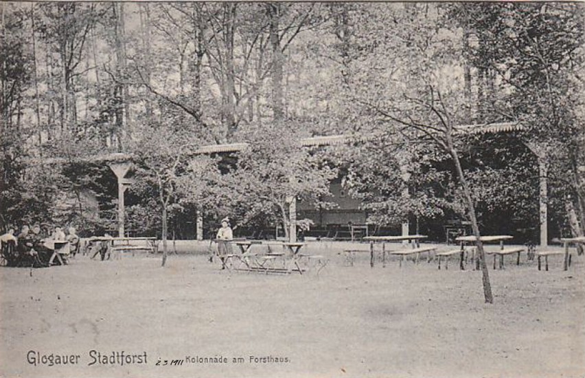 rok 1911, Kolumnada, Kolonnade.