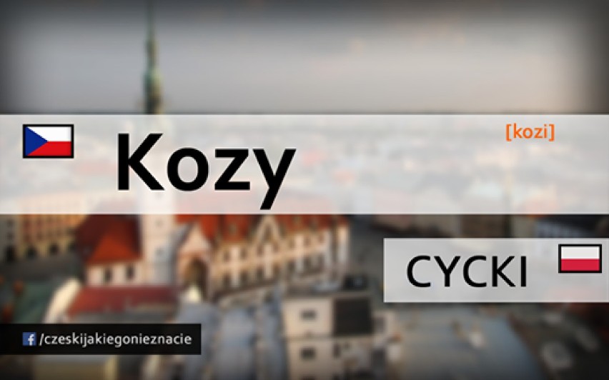 Czeskie słowa, które mogą Cię zmylić