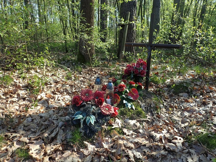 W lesie pod Śmiłowem odkopano szczątki niemieckiego żołnierza