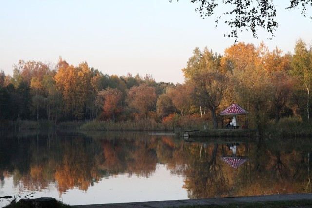 Świąteczny spacer. Na początek proponujemy Park im. Jacka Kuronia (dawna Leśna) w Sosnowcu-Kazimierzu Górniczym. Jest tu i las, i woda. Najmłodszych z pewnością zainteresuje również minizoo.