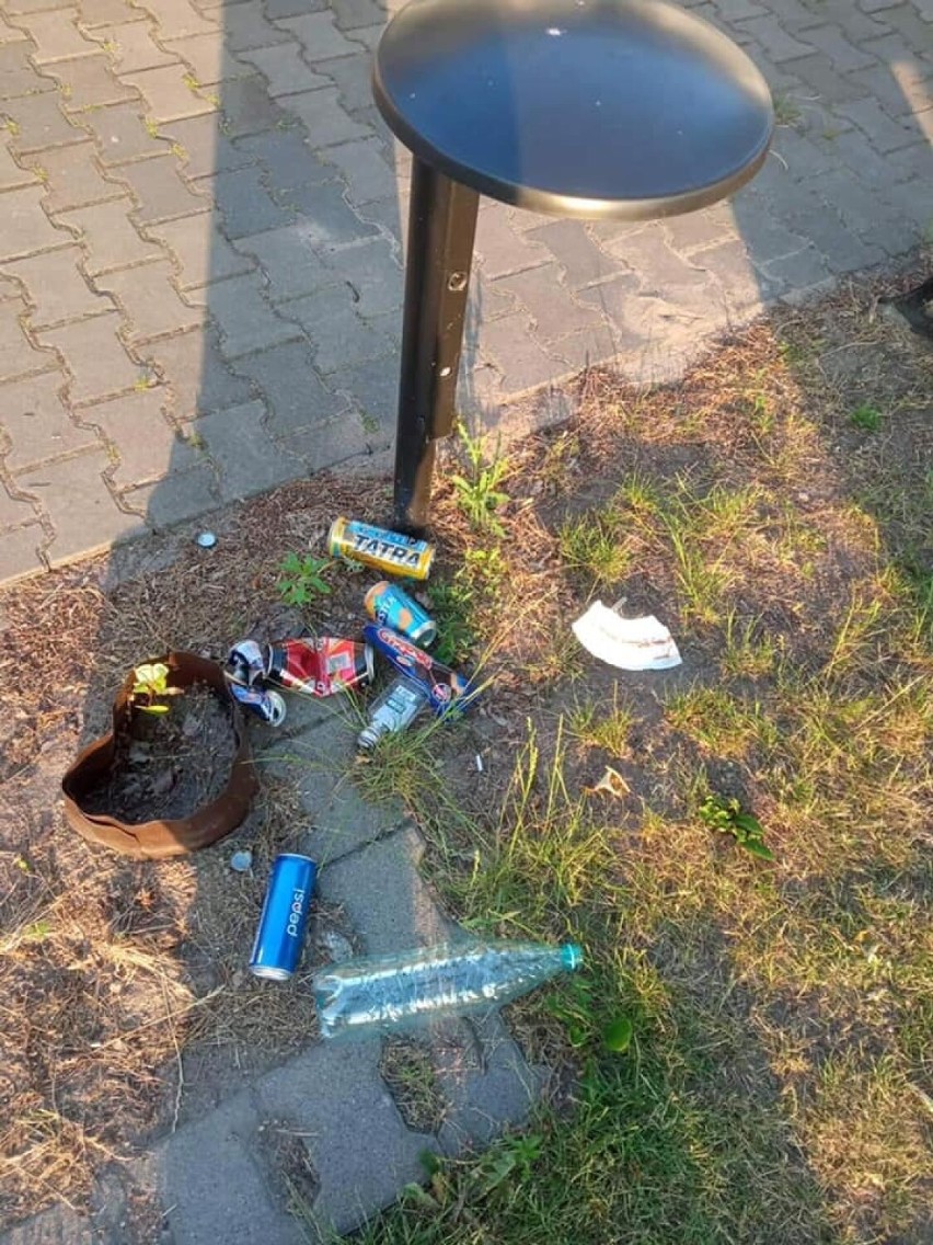 Mieszkańcy Bogdanowa śmiecą na potęgę. Interweniuje sołtys