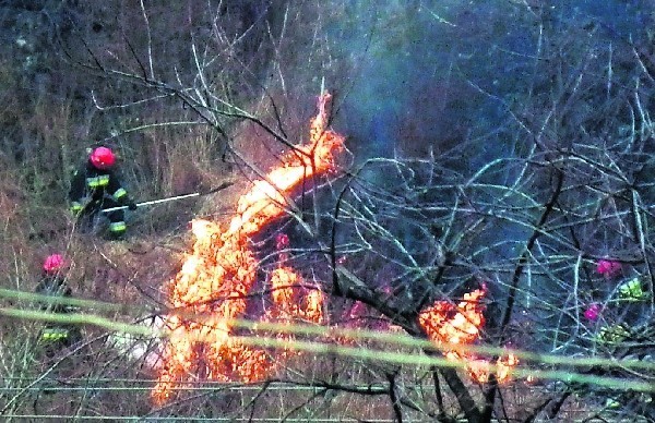 W sobotę około godziny 15 ktoś podpalił trawy w Gorlicach na wzgórzu w pobliżu bloków na ul. Słonecznej