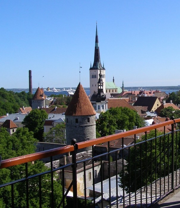 Widok na Tallin z wieży widokowej