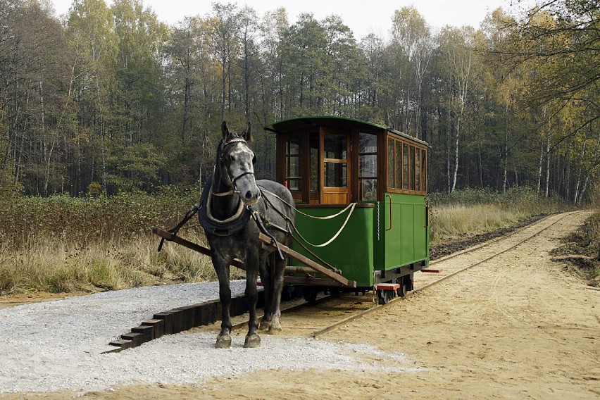 W Mrozach przejedziesz się jedynym tramwajem konnych w kraju