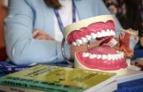 Dentyści nie chcą leczyć "na NFZ". Wybierają prywatne praktyki 
