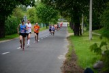 Run Toruń 2014. Ponad 1300 biegaczy na starcie [ZDJĘCIA]