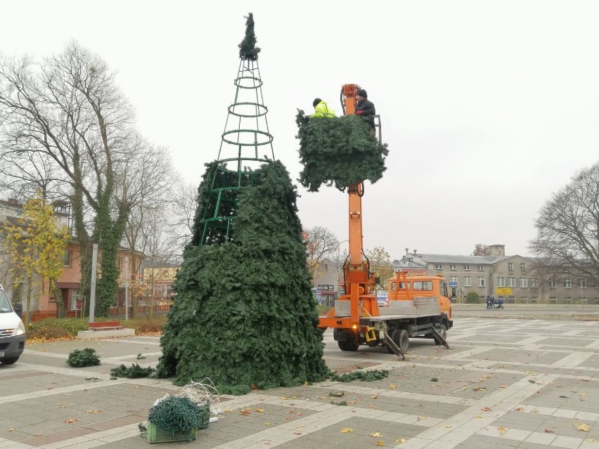 Choinka już stoi na Plantach w Goleniowie. Iluminację włączą za kilka dni