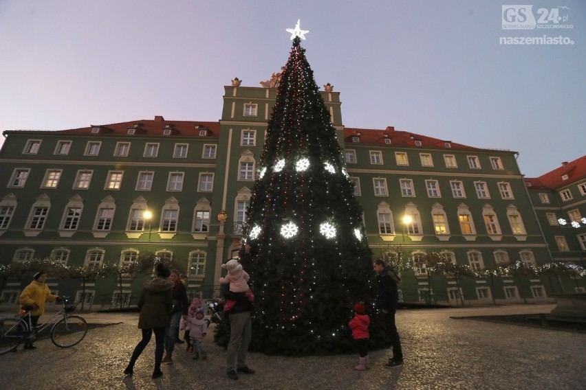 Mierzy 12 metrów i waży prawie półtorej tony. Świąteczna...