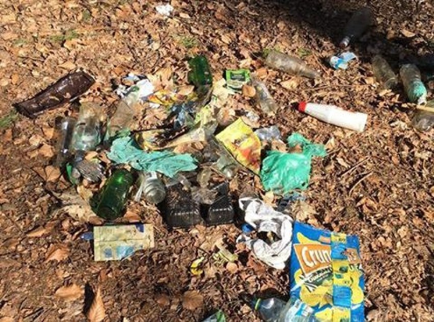 Mnóstwo śmieci w lesie pod Goleniowem. Kto tak nabałaganił?