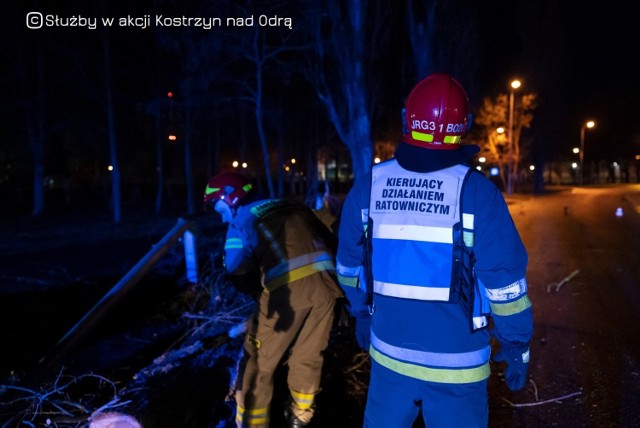 Strażacy z Kostrzyna usuwali powalone drzewo na ul. Fabrycznej.