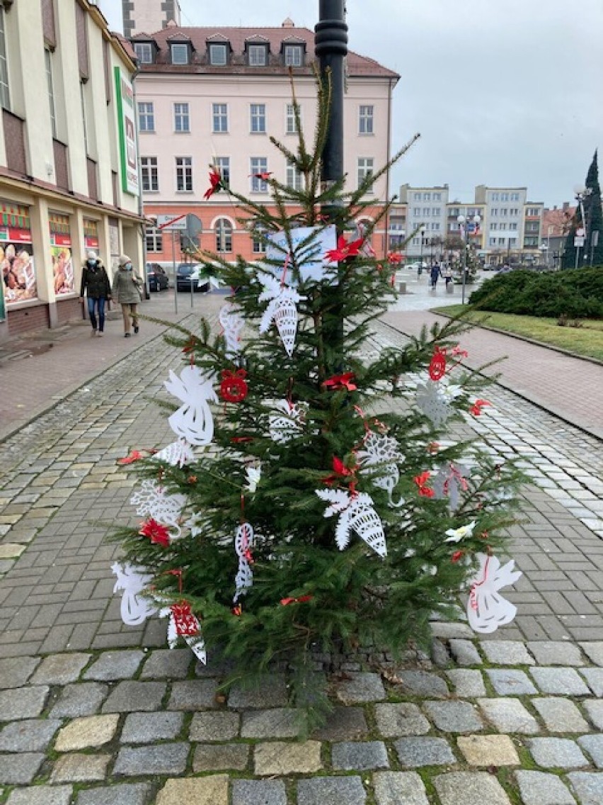 Konkurs na najpiękniejszą choinkę w Grodkowie.