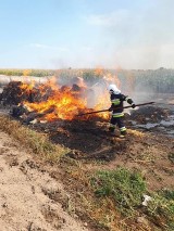 Pożar stogu słomy na polu w Gradowicach [ZDJĘCIA] 