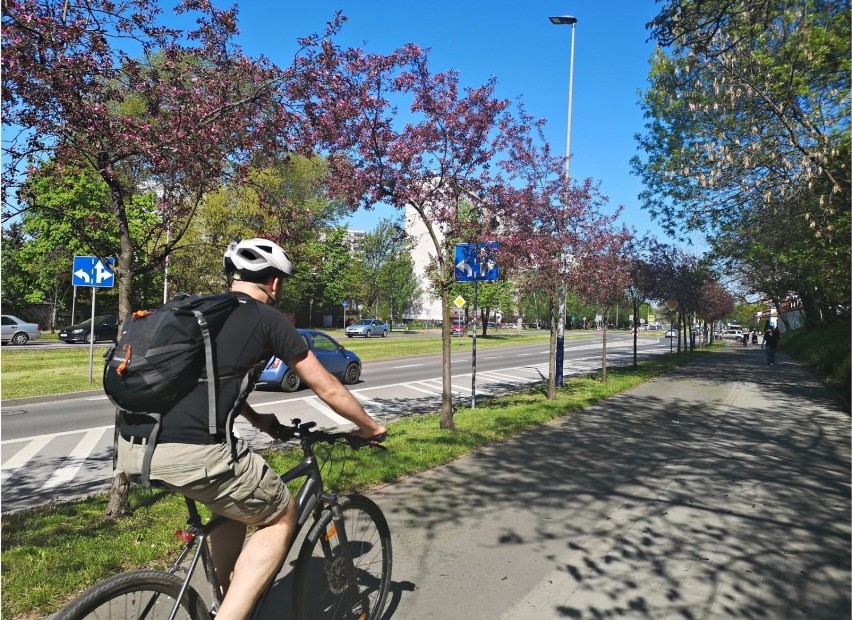 Kraków. Tramwaj do Mistrzejowic. Mieszkańcy przeciw autostradzie w centrum i wycince ponad 800 drzew [ZDJĘCIA]