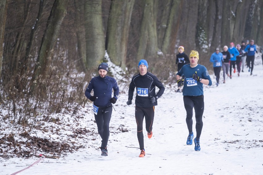 Bieg Mikołajkowy 2021 w Lesie Kabackim. Zawodnicy startowali na 5 i 10 km. Zobacz fotorelację