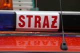 Straż Pożarna w Raciborzu: strażacy usuwali powalone drzewo