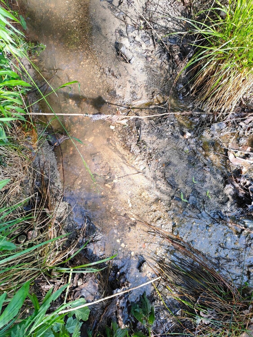 Strażacy neutralizują ropopochodną ciecz w rowie w Sieniawce