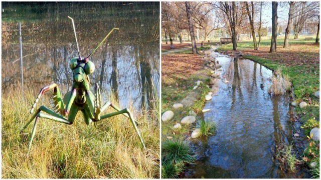 Park Grabek w Czeladzi w jesiennych barwach 

Zobacz kolejne zdjęcia/plansze. Przesuwaj zdjęcia w prawo naciśnij strzałkę lub przycisk NASTĘPNE