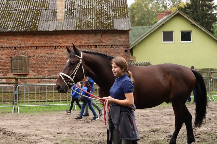 Zajączkowo miejscem rywalizacji "Wyścig przez wieki" [zdjęcia - galeria 1]