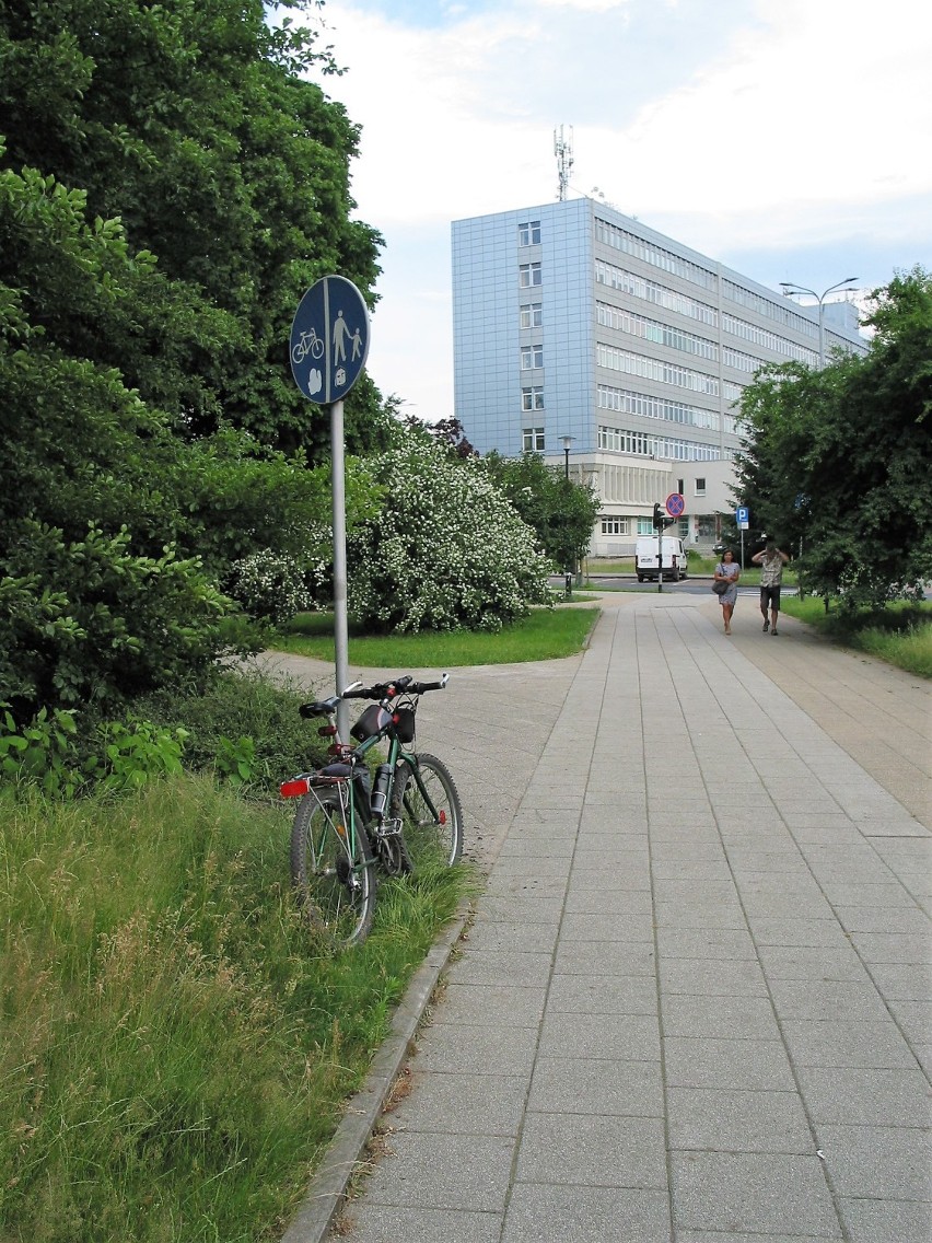 Oznakowanie ścieżki pieszo rowerowej wzdłuż ul. Jana Pawła...