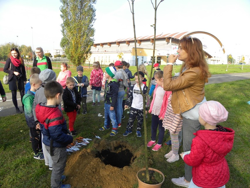 Przedszkolaki sadziły drzewa z Leroy Merlin [FOTO] 
