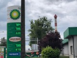 Ceny paliw we Wrześni. Ile zapłacisz za litr paliwa?  [FOTO]