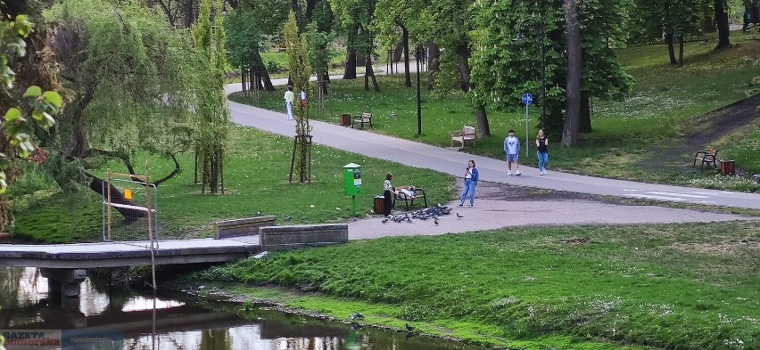 Mieszkańcy Włocławka odpoczywają na bulwarach i w parku...