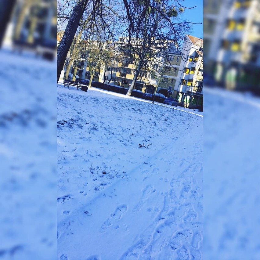 Zima Gniezno 2022. Zdjęcia naszych mieszkańców
