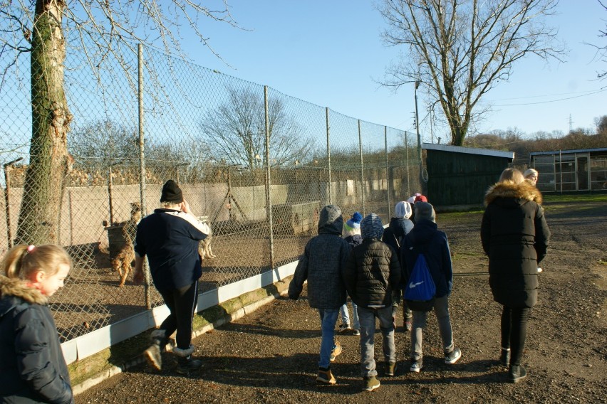 Dzieci z Sulęcina odwiedziły schronisko w Ługach Górzyckich