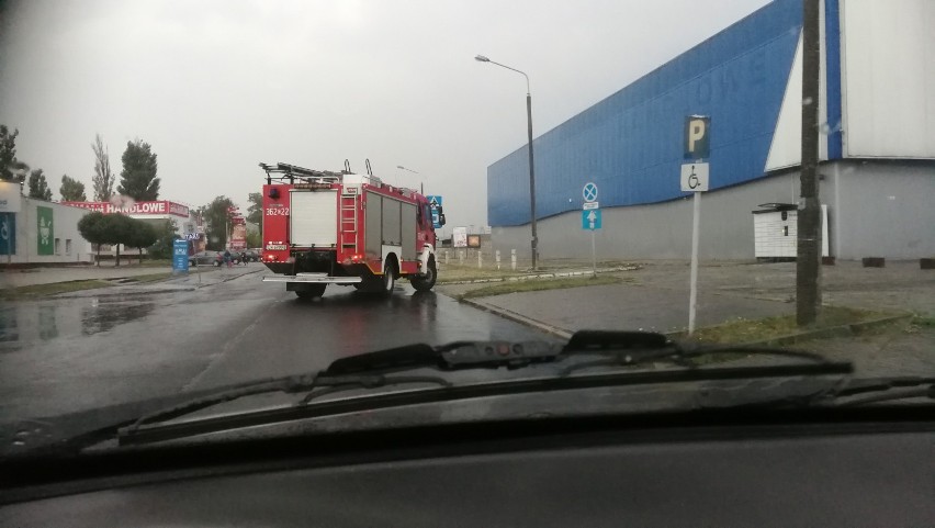 Burza nad Włocławkiem. Piorun uderzył w drzewo na ul. Wesołej [zdjęcia]