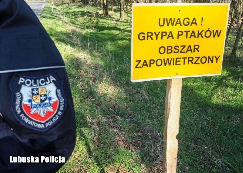 Ptasia grypa w powiecie żarskim. Wykryto nowe ogniska choroby