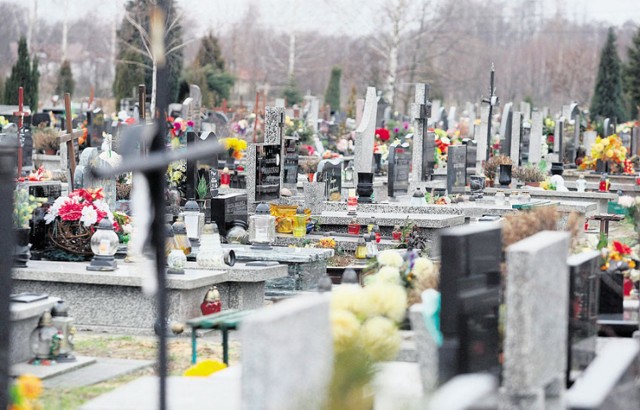 Cmentarz Komunalny w Leśnicy: Ile za miejsce na cmentarzu/Zdjęcie ilustracyjne