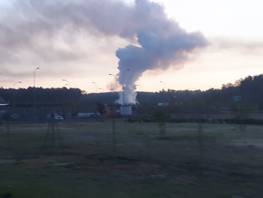 Ciężarówka przewożąca konie spłonęła na autostradzie A1 w Nowych Marzach [zdjęcia]