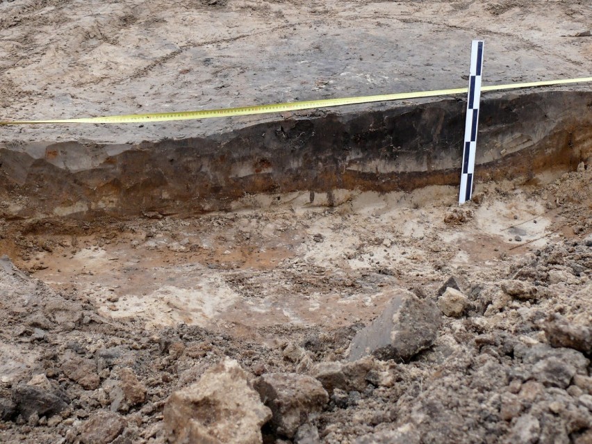 Głogów: Sensacyjne odkrycie na Biechowie. Archeolodzy znaleźli m.in. grób ciałopalny, urnę i pogięty miecz