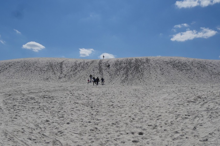 Białe piaski w Nowogrodźcu [ZDJĘCIA]                               
