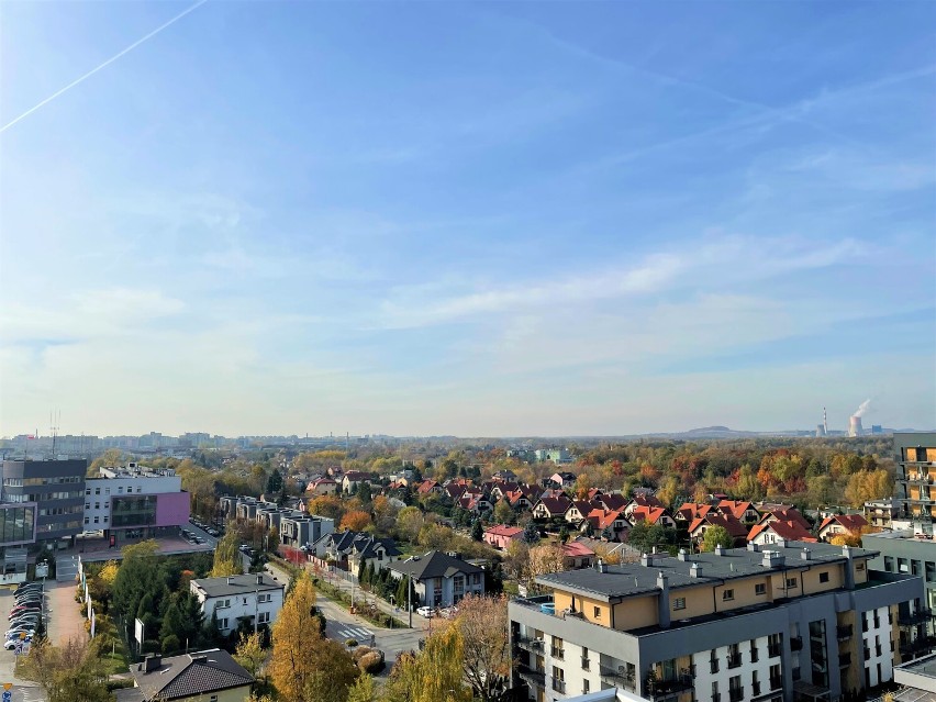 W Dąbrowie Górniczej do kupienia jest najdroższe mieszkanie w woj. śląskim. To PENTHOUSE z basenem. Zobacz zdjęia