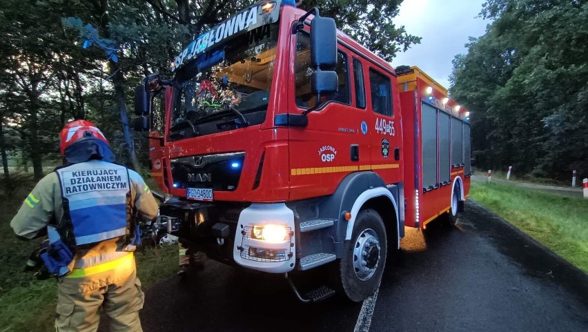 Samochód uderzył w drzewo. Kierowca nie żyje, nie miał prawa jazdy